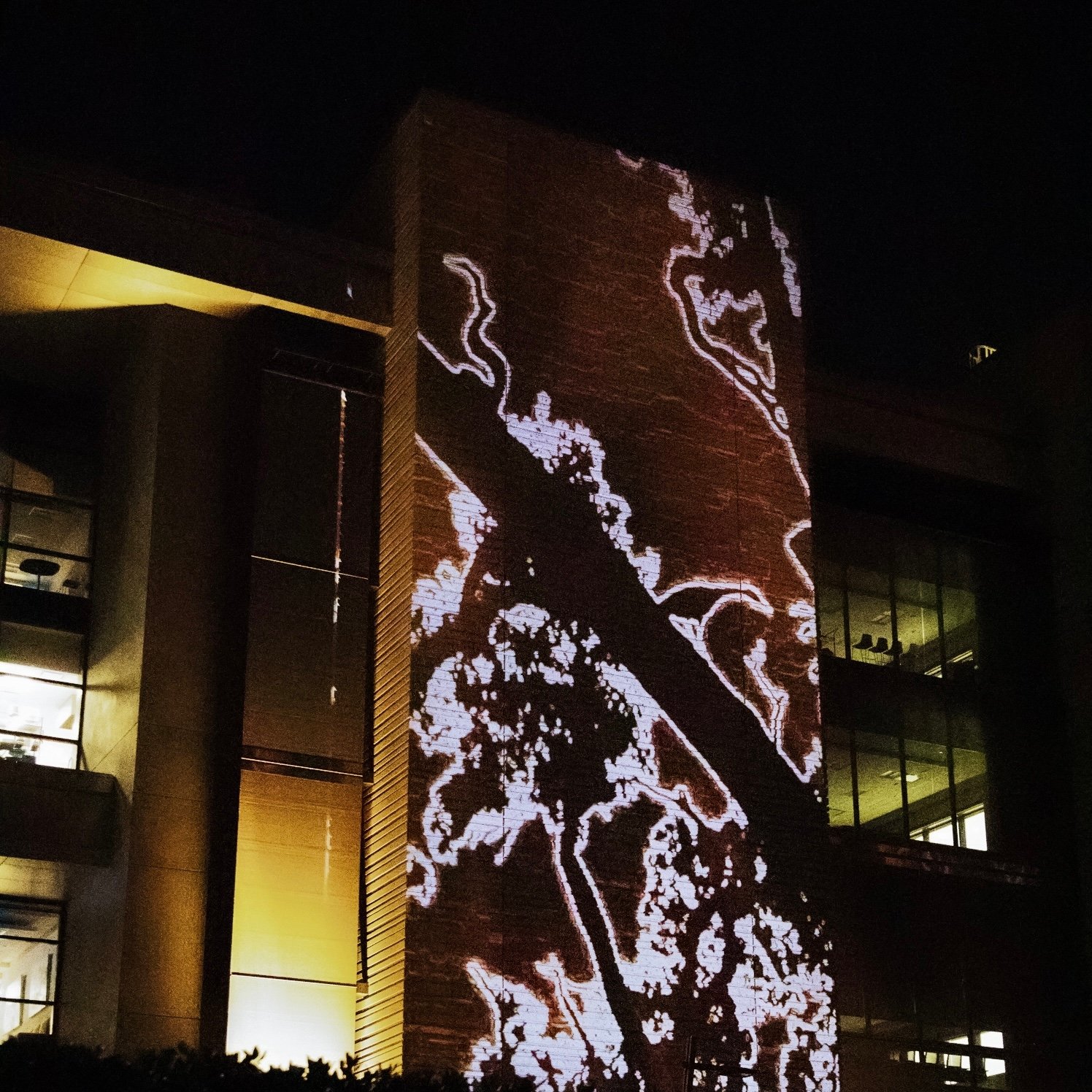 A black-and-white animated form mapped across an exterior façade at OSU Discovery.
