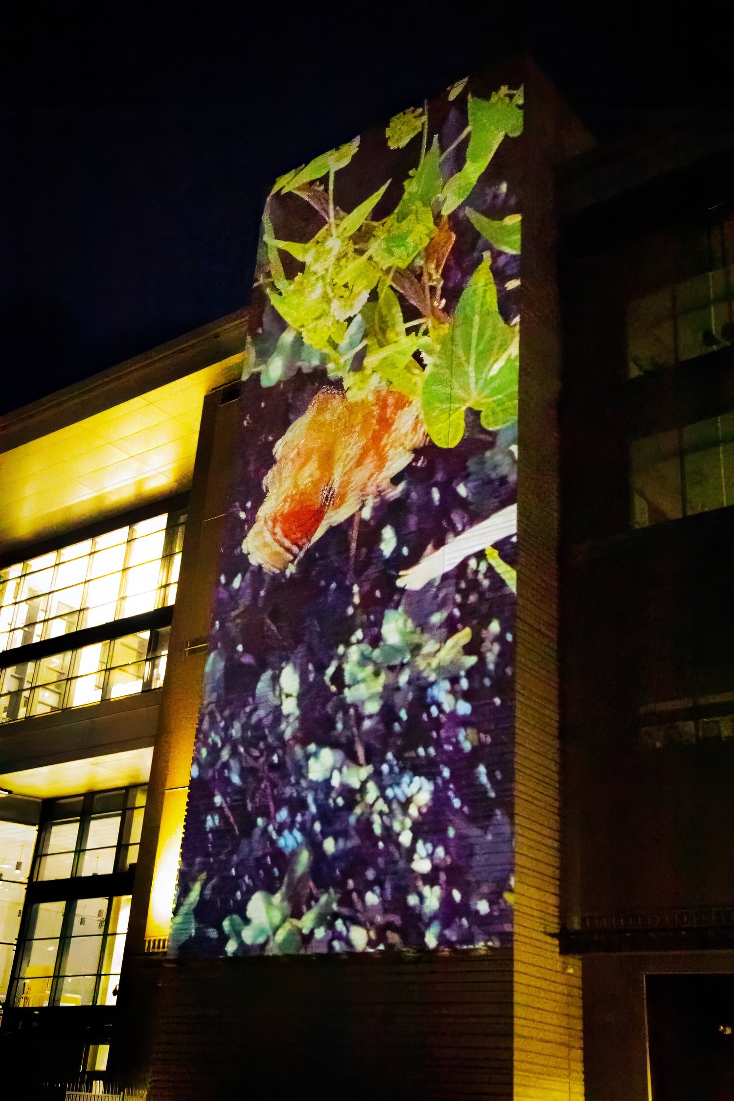 A monarch butterfly and foliage projected across OSU Discovery at night.