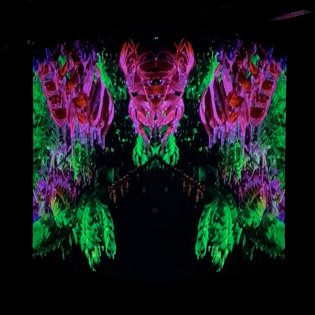 Mirrored green and magenta tree imagery projected across two faces of a studio cube.